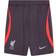 Nike Men's Liverpool FC Strike Third Dri-Fit Knit Football Shorts