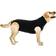 Suitical Recovery Suit for Dogs XL