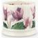 Emma Bridgewater Autumn Cyclamen Small Mug 17.5cl