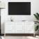 vidaXL 842951 White TV Bench 100.5x50.5cm