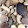 Ebern Designs Pebbles by PhotoINC Studio Brown/Multicolour Wall Decor 94x94cm