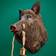 WERNS Wild Boar Pig Willy Brown Wall light