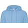 Shein Fruit of the Loom Mens Hooded Sweatshirt / Hoodie (Sky Blue)