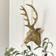 Melody Maison Antique Stag Head Gold Wall Decor 26x46cm