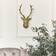 Melody Maison Antique Stag Head Gold Wall Decor 26x46cm