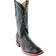 Ferrini Full Quill Ostrich - Black