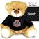 Chad & Jake Ohio State Buckeyes Personalized Plush Bear 25cm