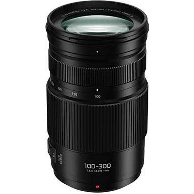 Panasonic Lumix G Vario 100-300mm F4.0-5.6 II for Micro Four