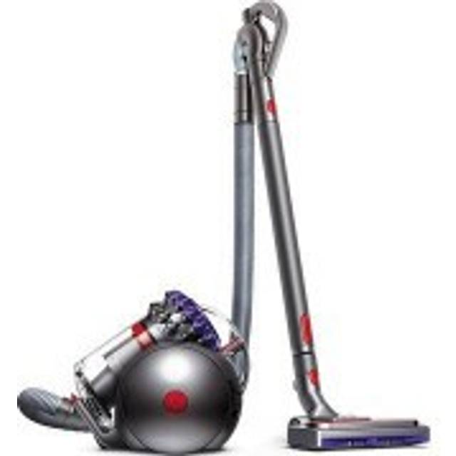 dyson ball animal two