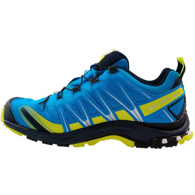 salomon 3d gtx