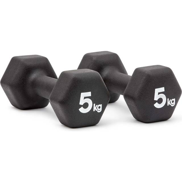 Reebok best sale 20kg dumbbell