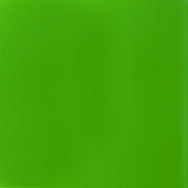 Liquitex Basics Acrylic Permanent Green Light 4oz