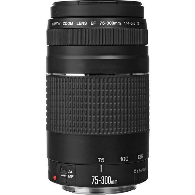 Canon EF 75-300mm F4-5.6 III • See the best prices »